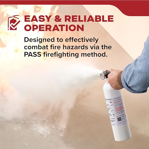 Auto 5 Fire Extinguisher for Cars and Trucks (Very Small - 2 lbs.)
