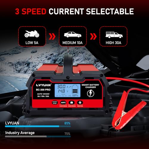 30A Smart Car Battery Charge (30A)