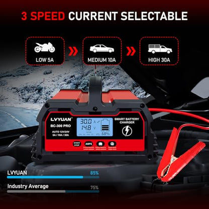 30A Smart Car Battery Charge (30A)
