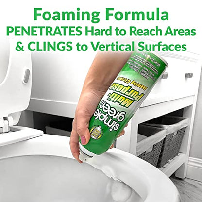 All Purpose Foaming Aerosol Cleaner (20 Ounce (Pack of 2))
