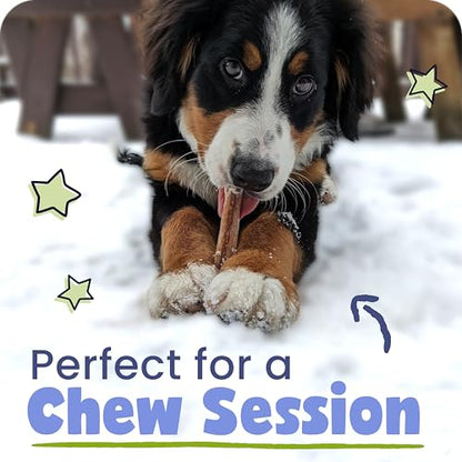 Natural 12” Braided Bully Sticks for Dogs (12" / 10 Count (Pack of 1))