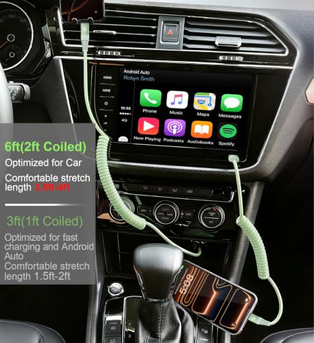 USB to USB C Cable Fast Charging 60W (6FT / Green)