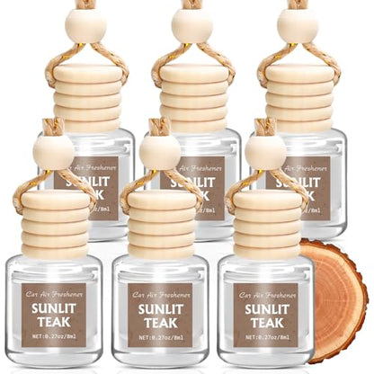 6 Pack Car Air Freshener