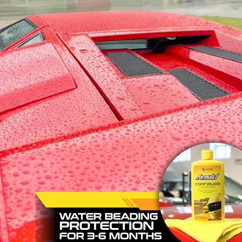 Carnauba Car Wax Liquid (16 Fl Oz (Pack of 1))