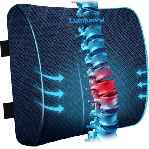 Lumbar Support Pillow for Office Chair (Blue)