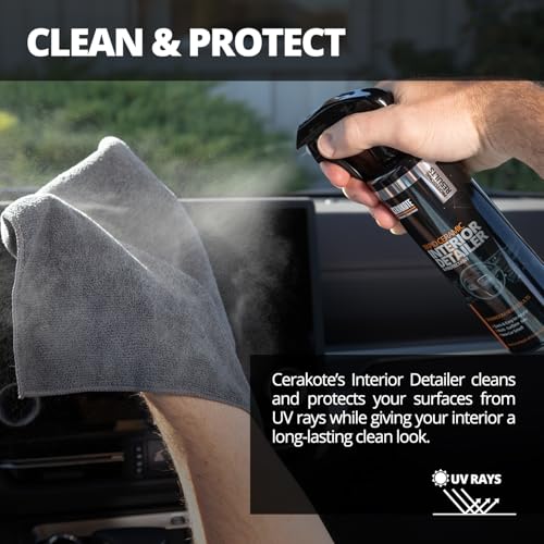 Rapid Ceramic Interior Detailer and Protectant Spray (14 Fl Oz (Pack of 1))