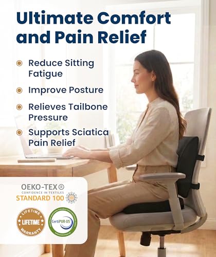 Doctor Recommended Memory Foam Seat Cushion for Office Chairs & Car (Black Airflow Lumbar / Large)