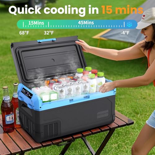 30L Car Refrigerator Freezer (30L BU / Black)