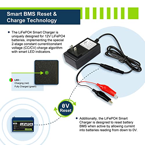 12V 1A Smart Charger for Lithium LiFePO4 Deep Cycle Rechargeable Batteries (1 Amp)