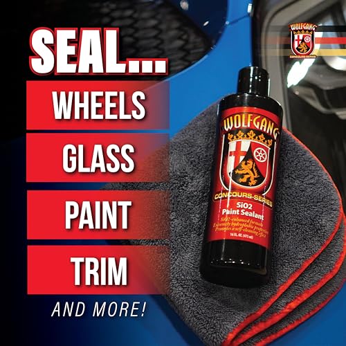 SiO2 Paint Sealant