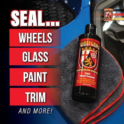 SiO2 Paint Sealant
