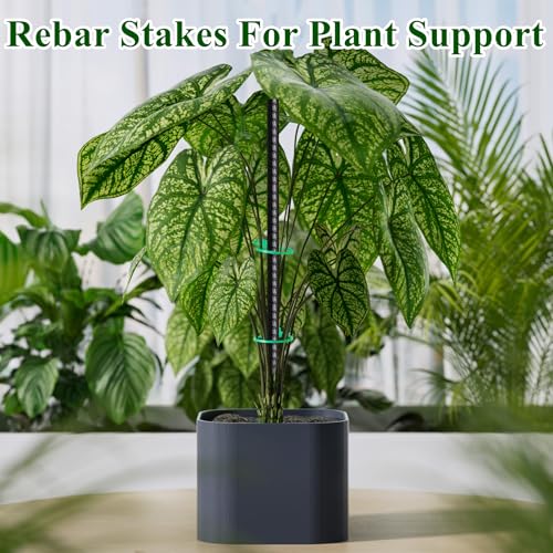 Rebar Stakes 16 Inch 20 Pack Heavy Duty Ground Anchors with Chisel Point End Long Straight Steel Tent Stakes 3 (I-16"x3/8"-20pcs)