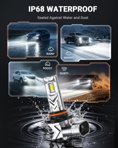 H10 LED Fog Light Bulbs (White / H10)