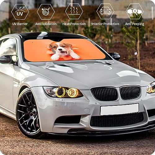 Custom Car Windshield Sun Shade (Photo S)