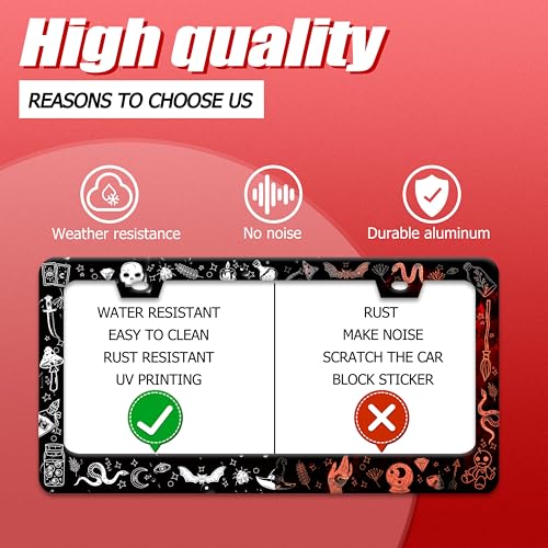 Witch License Plate Frame Gothic Magical License Plate Frames for Car Decorative Parts Stainless Stee License Plate for Standard Us Canada Funny License Plate Holder 12x6 Inch (Witch)