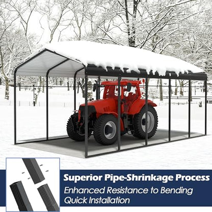 Metal Carport (12x25 FT Black)