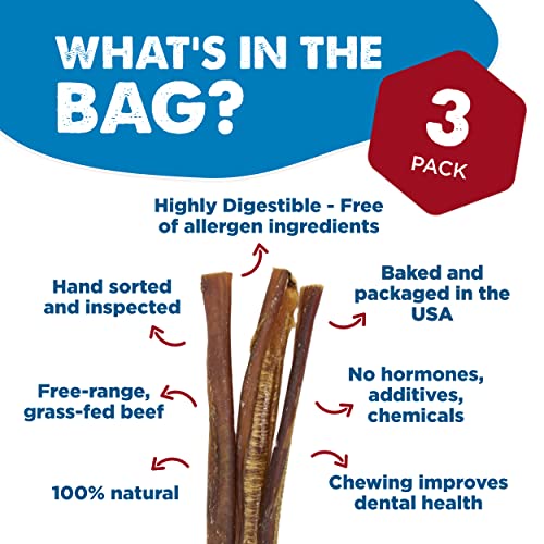 12 Inch Bully Sticks for Dogs (3 Count (Pack of 1))