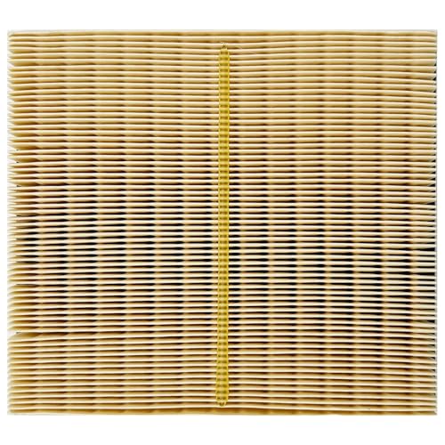 Engine Air Filter JMP050 Fits for 2013 (9.52" x 8.62" x 2.2")