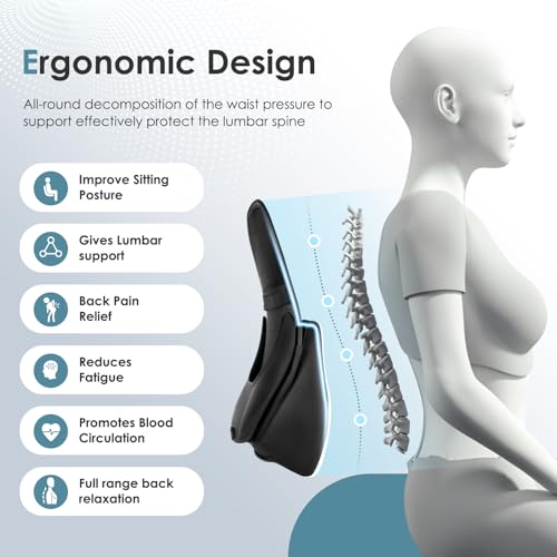 Memory Foam Double Layer Breathable Mesh Lumbar Support Ergonomic Leather Lumbar Support Pillow with 3D Mesh Back Support and Adjustable Strap for CarSeat & Office Chair (Leather Black)