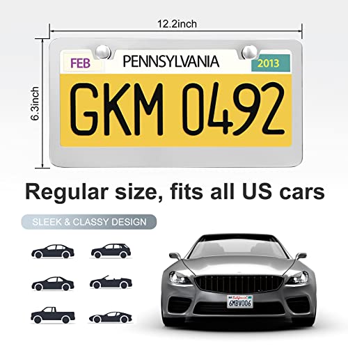 2 Pack License Plate Frames (Silver)