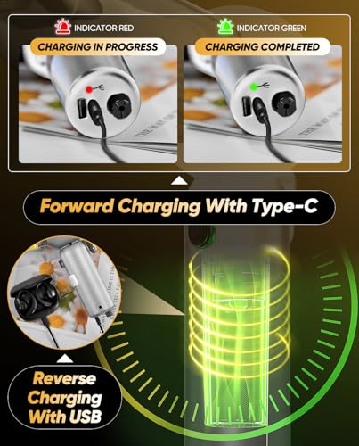 Car Vacuum Portable 6 (Silver)