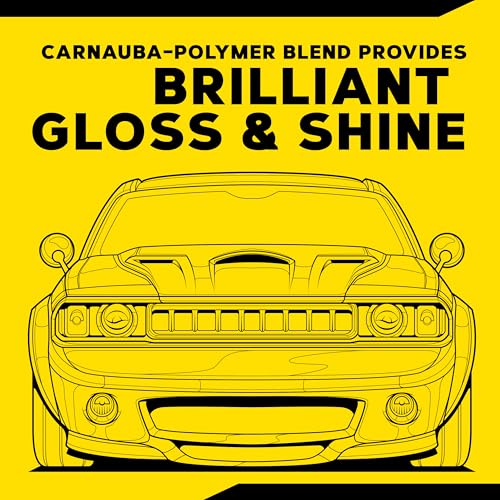 Gold Class Carnauba Plus Premium Liquid Wax Kit (16 Fl Oz (Pack of 1))