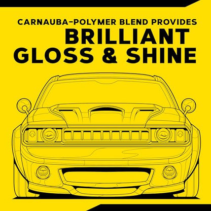 Gold Class Carnauba Plus Premium Liquid Wax Kit (16 Fl Oz (Pack of 1))