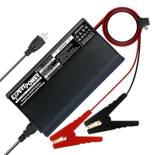 12V 20A Smart Charger for Lithium LiFePO4 Deep Cycle Rechargeable Batteries (20 Amp)