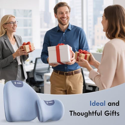 Lumbar Support Pillow and Neck Pillow for Office Chair Car (Blue / 2 Pieces)