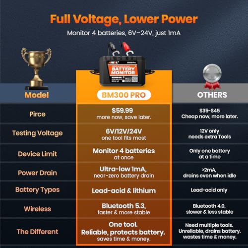 BM300 Pro Battery Monitor (Orange)