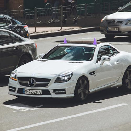 Car Roof Decoration 3D Devil Horn Stickers (Fashion Purple)