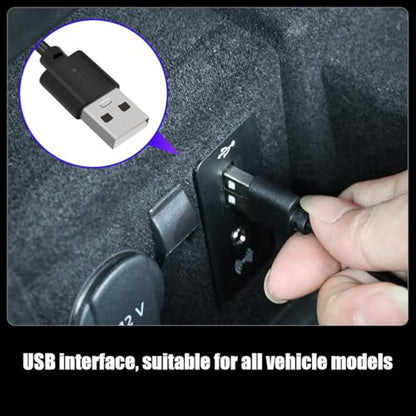 Car Interior LED Lights (White)