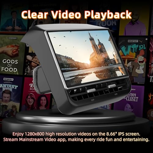 8.66 Inch Rear Screen Compatible with Tesla Model Y 2019