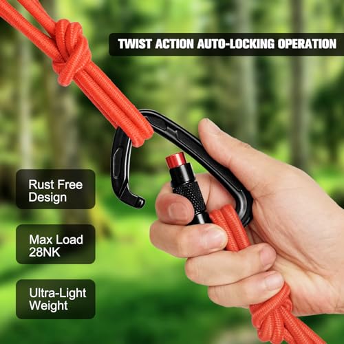 Auto Locking Carabiner Clips (2 Black+Red)