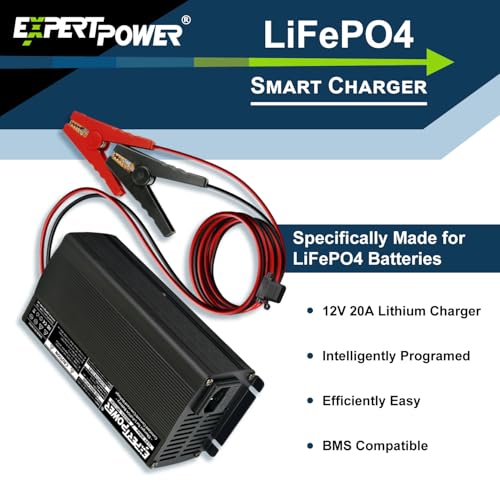 12V 20A Smart Charger for Lithium LiFePO4 Deep Cycle Rechargeable Batteries (20 Amp)
