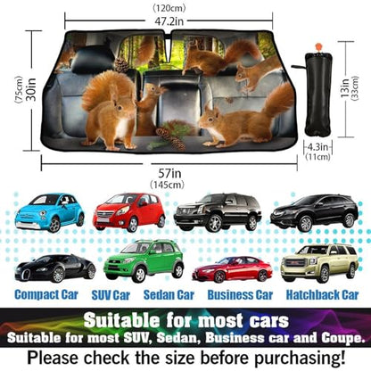 Squirrel Car Windshield Sunshade Umbrella Cute Sun Shade Umbrella for Car Foldable Windshield Umbrella Block UV Rays Heat Keep Vehicle Cool for Cars SUV 57"x30" (Squirrel)