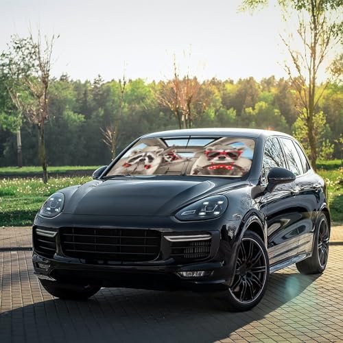 Print Raccoon Windshield Sun Shade Funny Raccoon Sun Shade for Car Front Window Block UV Rays Foldable Umbrella Windshield Sun Visor Protector Keep Vehicle Cool for Most Vehicles (raccoon)