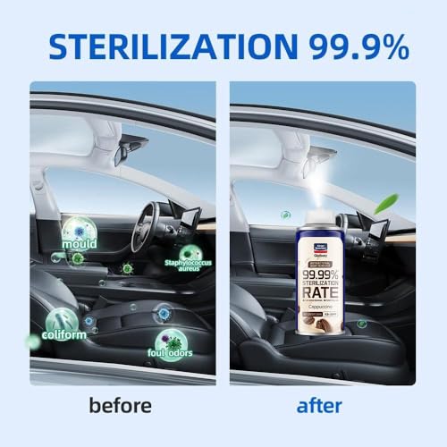 Glodway Whole Car Air Refresher Spray (6 Ounce (Pack of 2) / Grey)