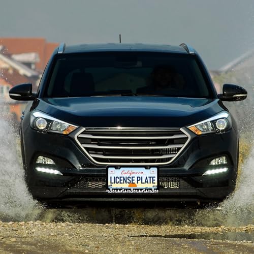 Forest License Plate Frames (Forest)