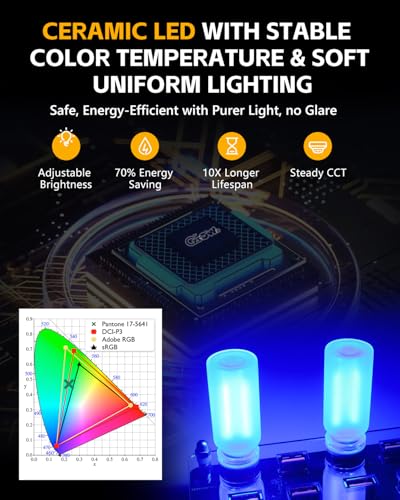 2PCS USB Light for Car (Blue / Frosted Glass)