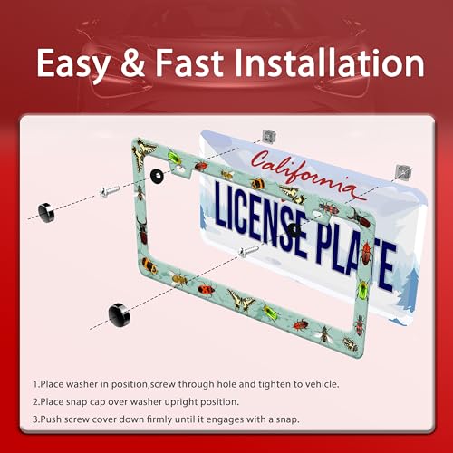 Butterfly Moth Beetle License Plate Frame Animal License Plate Holder (Butterfly Moth Beetle)