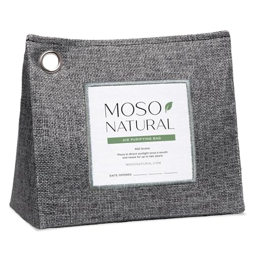 Air Purifying Bag 600g (600 g (Pack of 1))