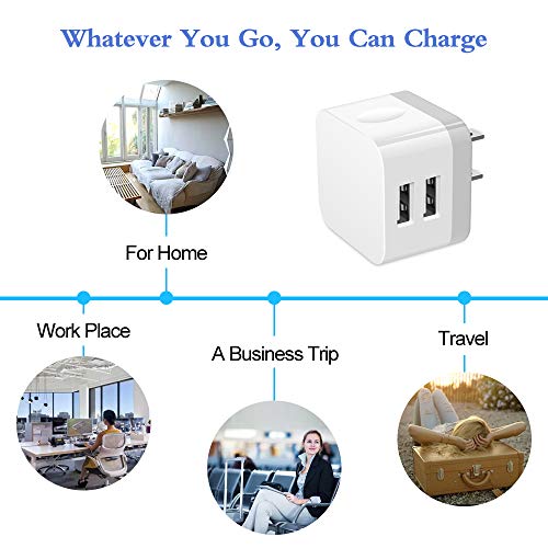Dual USB Wall Charger (white#)