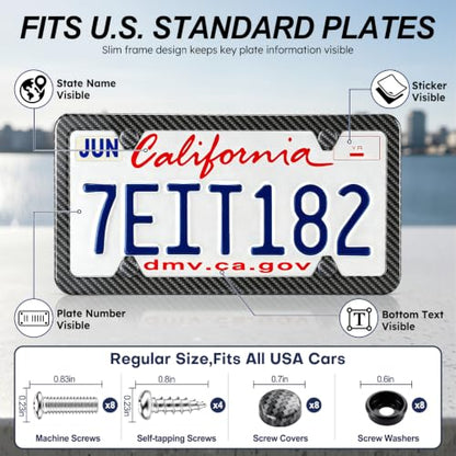 Carbon Fiber License Plate Frames (Carbon Fiber)