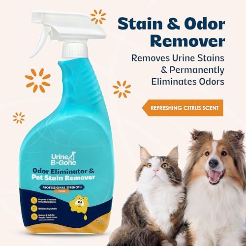 Urine B Gone Enzyme Cleaner for Human (32 Fl Oz (Pack of 1))