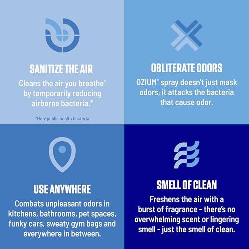 3.5 Oz. Air Sanitizer and Odor Eliminator Spray (3.5 Ounce (Pack of 2))