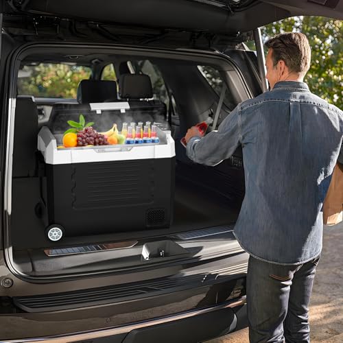 58QT Car Refrigerator 12 (58QT)