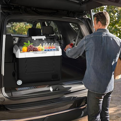 58QT Car Refrigerator 12 (58QT)