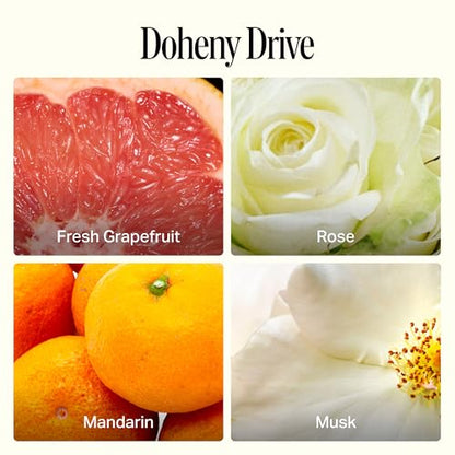 All Purpose Cleaner Spray 16.9oz Multi