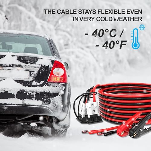 1 Gauge 30 Feet Heavy Duty Jumper Cables (1 Gauge 30 feet (Standard))